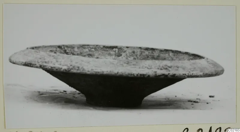 Shallow bowl with a wide flaring rim and a small ring base, photographed from the side.