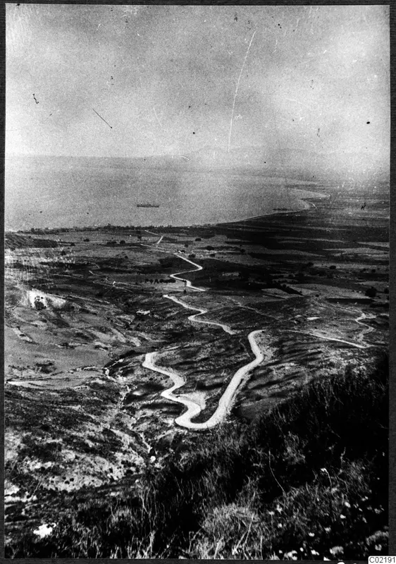 Winding road descending from a hillside toward a coastal plain and the sea, with a ship offshore.