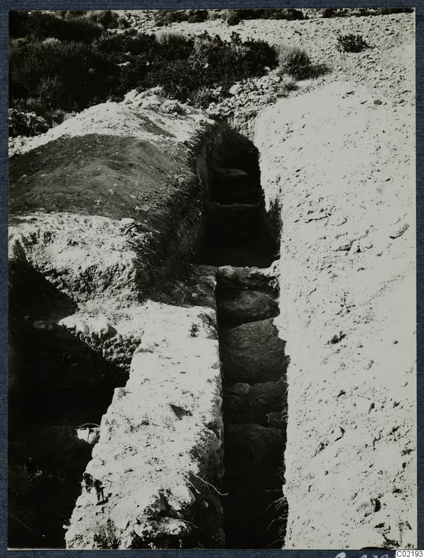 Excavation trench at Vouni with stone-lined sides, a stepped stone feature and bushes on the slope above