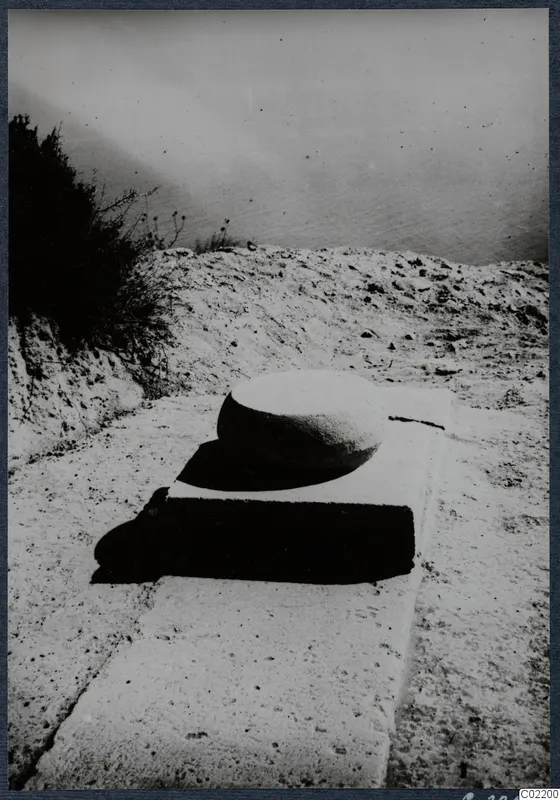 Rounded stone object resting on a cut stone block at Vouni Palace, with bushes at the left edge.