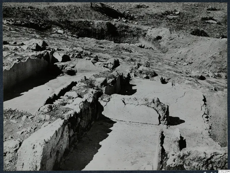Excavation trenches with exposed stone walls and flat floor surfaces at the palace at Vouni.