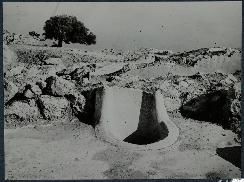 Excavated area at Vouni with a round plastered opening in the foreground, rough stones and a tree behind.