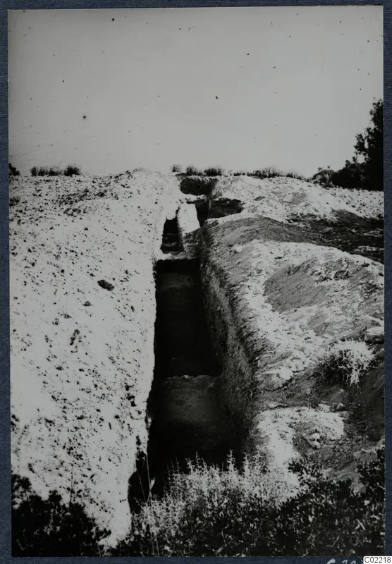 Narrow excavation trench at the palace at Vouni, with stones at its floor and bushes along its banks