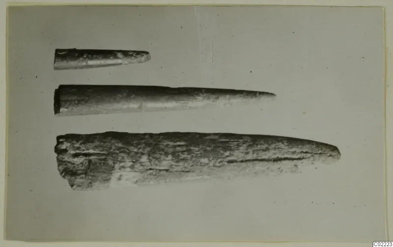 Three tapering, pointed find objects of different lengths, photographed on a pale backdrop, from Petra tou Limniti.