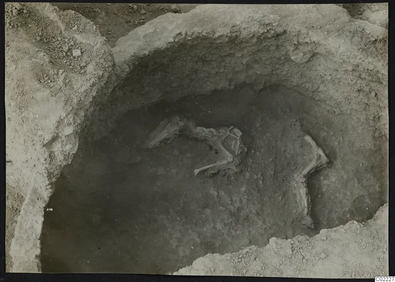 Skeleton lying in an excavated pit at Ayios Iakovos, with bones partly uncovered in the dark soil.