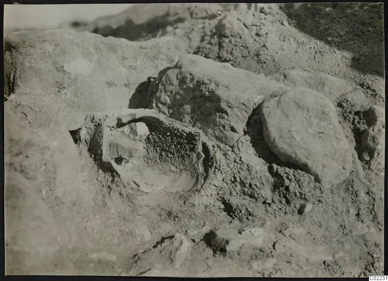 Excavated ground at Ayios Iakovos with a partly uncovered rounded object among stones and earth.