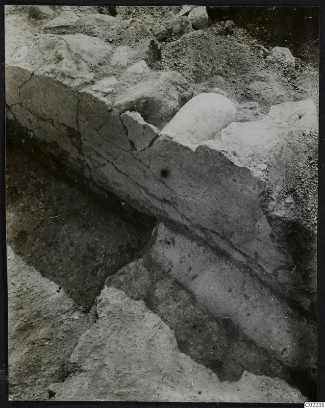 Excavation at Ayios Iakovos showing a cut face of layered soil with stones and a rounded pale object partly exposed
