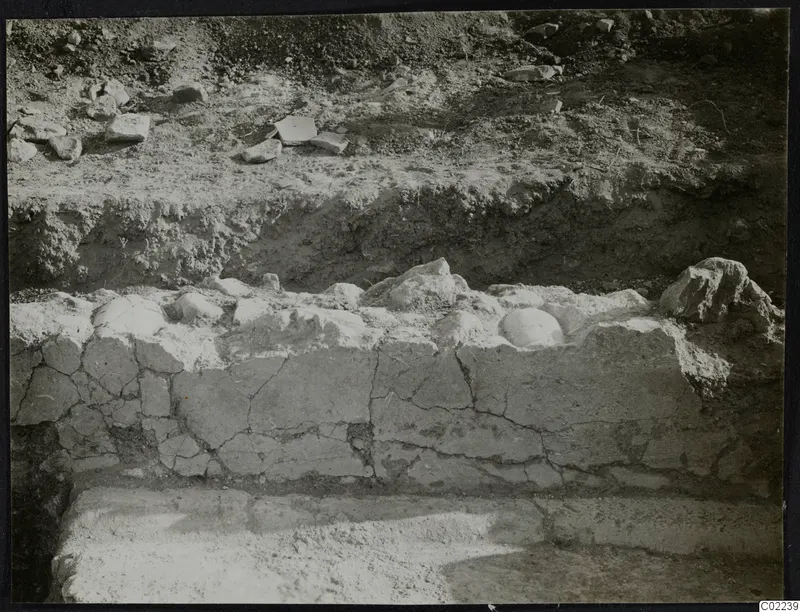 Excavated site at Ayios Iakovos showing a low pale wall with rounded stones along its top