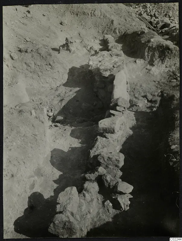 Excavation trench at Ayios Iakovos with a line of rough stones running through the dug soil