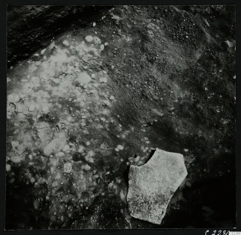 Close view of an excavated surface at Amathus with many small stones and a flat pale stone fragment at lower right