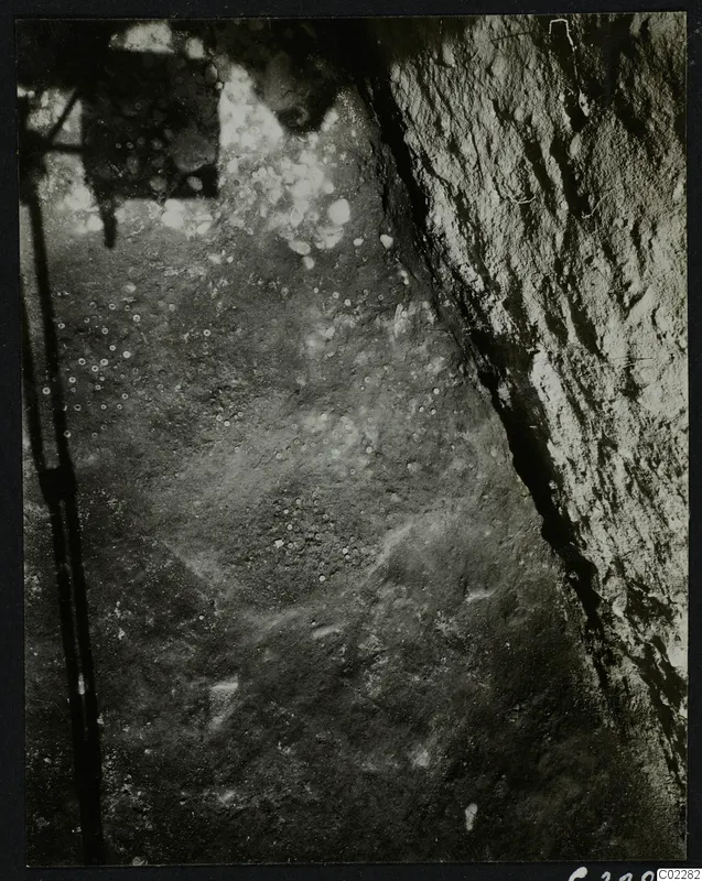 Excavation at Amathus: a cut earth or rock face on the right and a ground surface with small pale stones scattered across it