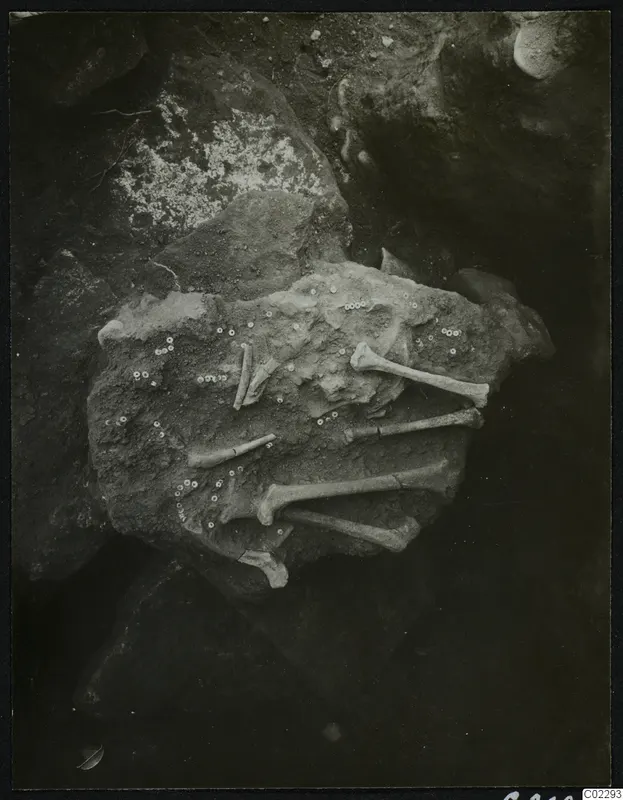 Tomb 21 at Amathus with small beads and long bones lying in situ on a rocky surface