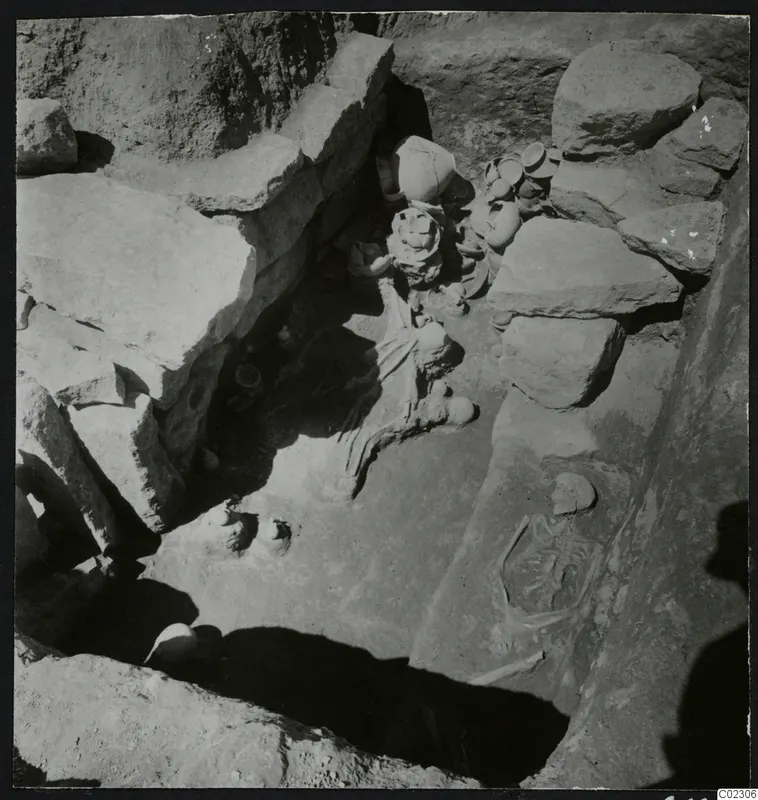 Skeletons and vessels during excavation of a tomb at Amathus, seen from above