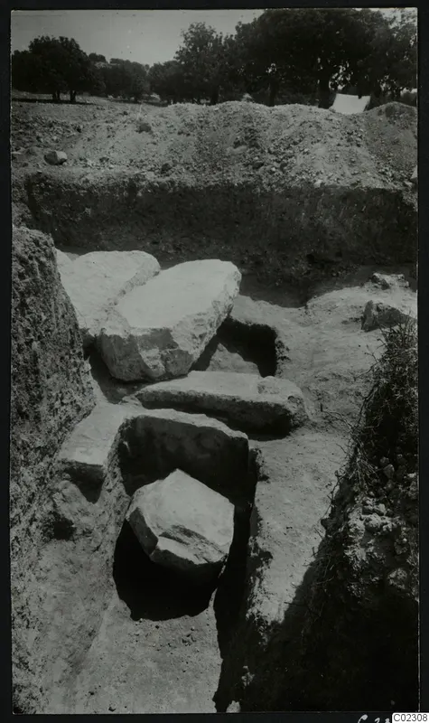 Excavation trench at Amathus with large dressed stone blocks lying in the cut and trees beyond