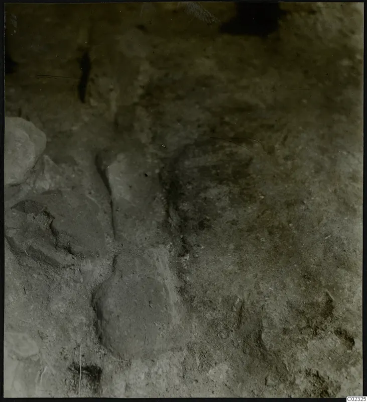 Excavated ground at Kythrea with rounded stones and a dark crack in the soil