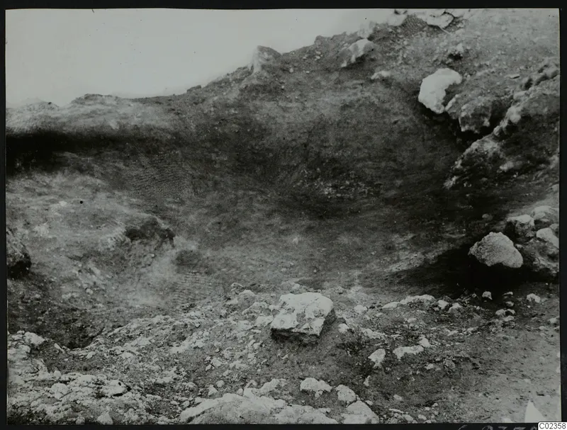 Excavation at Petra tou Limniti with scattered pale stones and a dark soil face behind them.