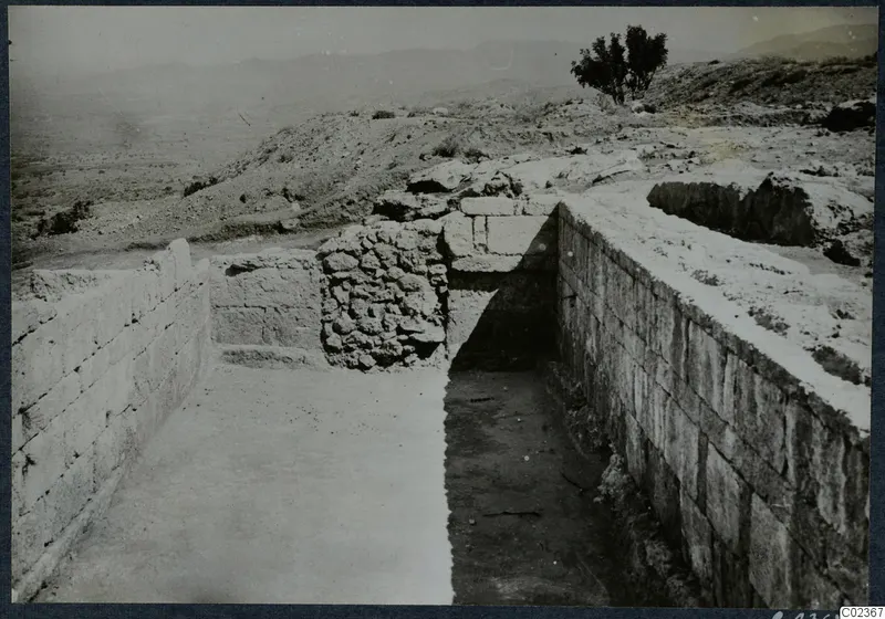 Excavated walls of squared stone and a trench at the palace at Vouni, with a tree on the hill behind.