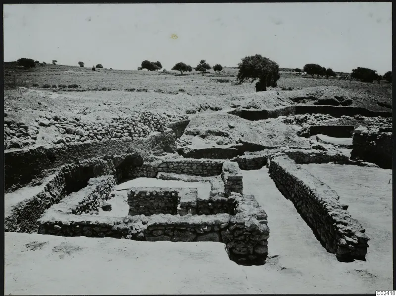 Excavated stone walls and foundations at Ayia Irini, with open ground and scattered trees behind.