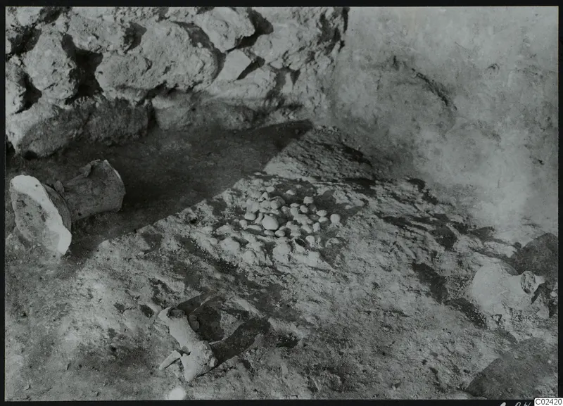 In situ finds on an excavated floor at Ayia Irini: a cluster of small stones and broken vessel pieces beside a rough stone wall.