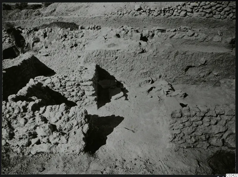 Temenos topography at Ayia Irini during excavation, with exposed stone walls, rubble and bushes