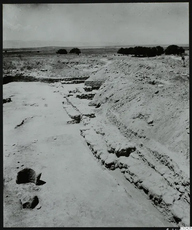 Excavation at Ayia Irini with exposed stone wall foundations, a bank of excavated earth and trees in the distance.