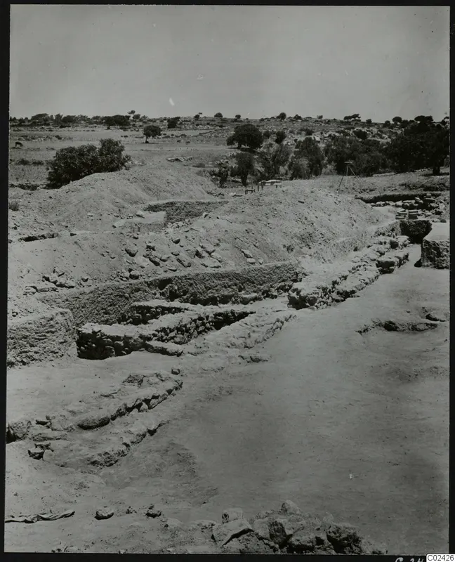 Excavated temenos at Ayia Irini with exposed stone wall foundations, earthen banks and scattered trees beyond.