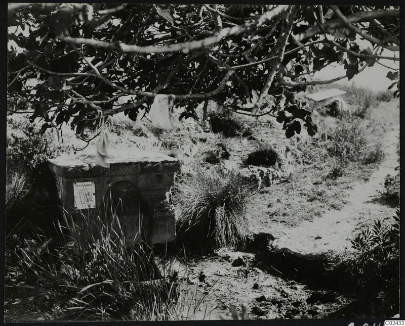 Stone block with a paper sign beside a tree in the temenos at Ayia Irini