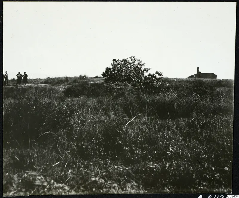 Grassy field at Ayia Irini with a tree, a ruined building on the right and three people at the left edge.