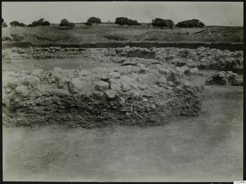 Excavation at Ayia Irini with rough stone foundations, a trench and trees on the horizon