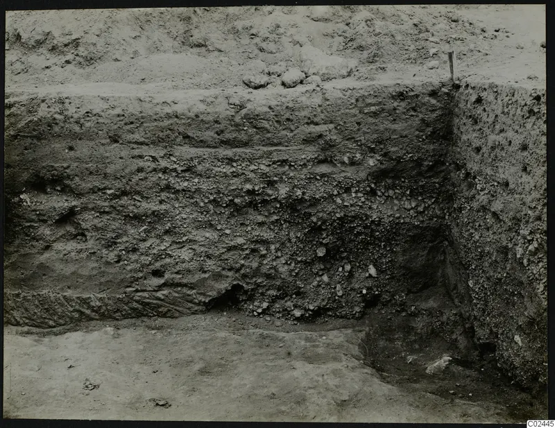 Excavated trench section at Ayia Irini showing layers of soil and stones, with a wooden stake at the top edge.
