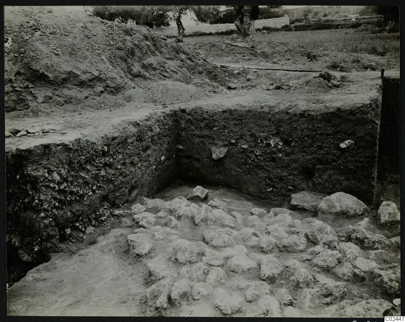 Excavation trench at Ayia Irini with rounded stones on its floor, cut soil faces, and trees in the background