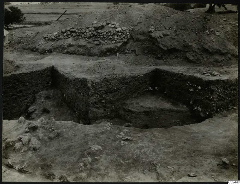 Excavation at Ayia Irini with a cut section of dark soil, a line of stones on a spoil heap, and trees in the background