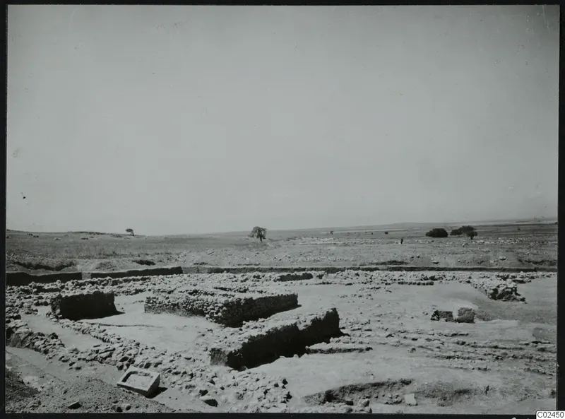Excavated low stone walls and foundations in the foreground, with open flat country and scattered trees beyond at Ayia Irini.