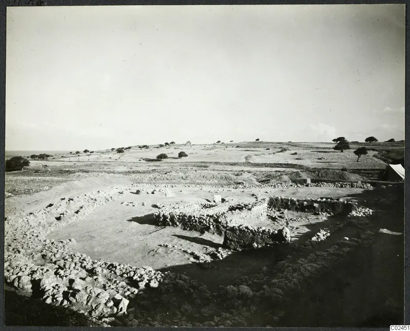Excavated stone wall foundations of the temenos at Ayia Irini, with a tent and scattered trees in the open landscape beyond.