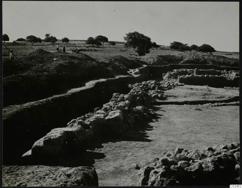 Excavation at Ayia Irini with stone wall foundations, a deep trench and spoil heaps, with several people and trees in the distance.