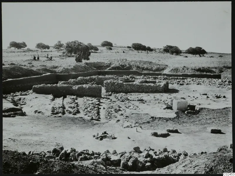 Excavation at Ayia Irini with low stone walls and a squared stone block, with people and trees in the background.