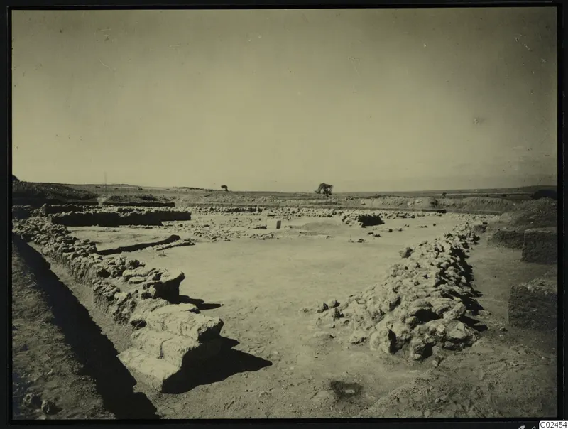 Excavated area at Ayia Irini with low stone walls, a cleared floor and a lone tree on the horizon