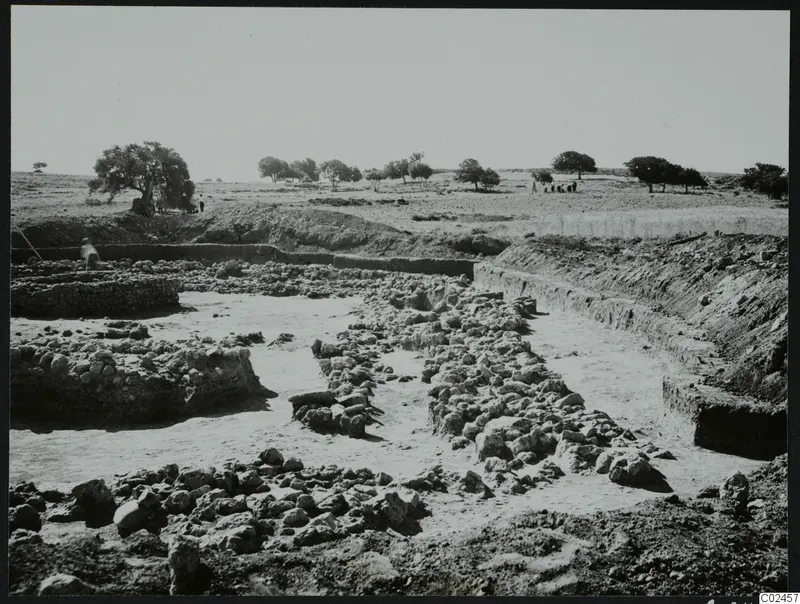 Excavated stone foundations at Ayia Irini, with trees and small figures on the open ground behind.