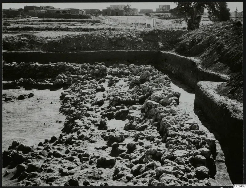 Excavated stone foundations and rubble in a trench at Ayia Irini temenos, with buildings and a tree beyond