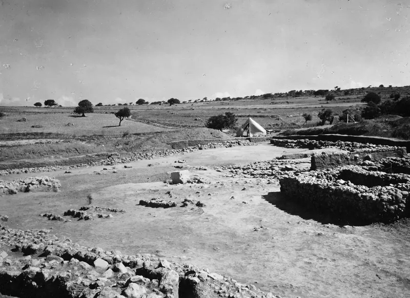Overall view of the excavation at Ayia Irini, with stone wall foundations, a white tent and trees in the background