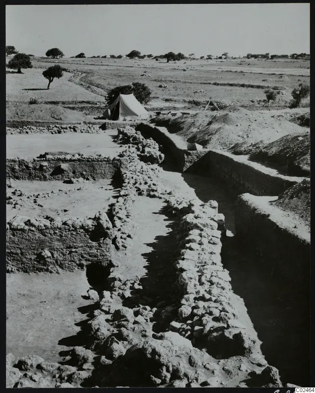 Excavated walls and a trench at Ayia Irini, with a white tent and trees in the background