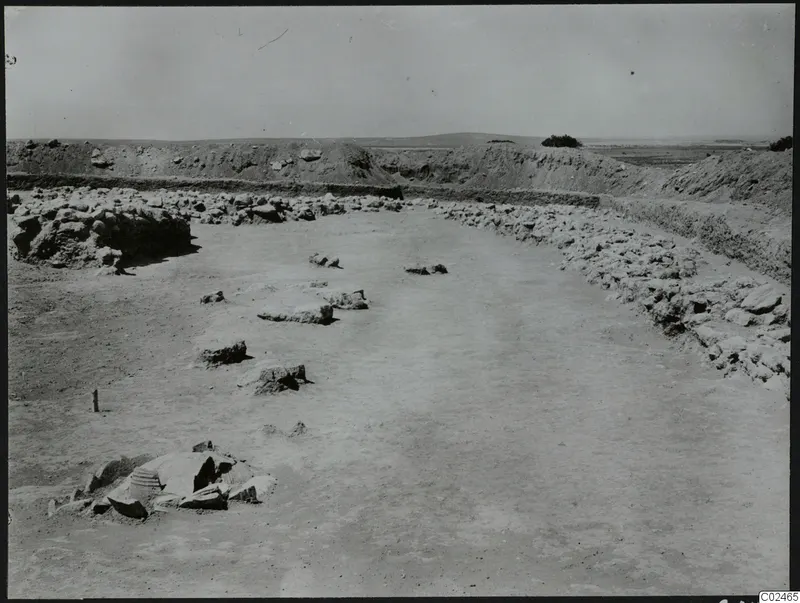 Excavated area at Ayia Irini with stone lines along the edges, scattered stone blocks and a bush on the ridge behind.