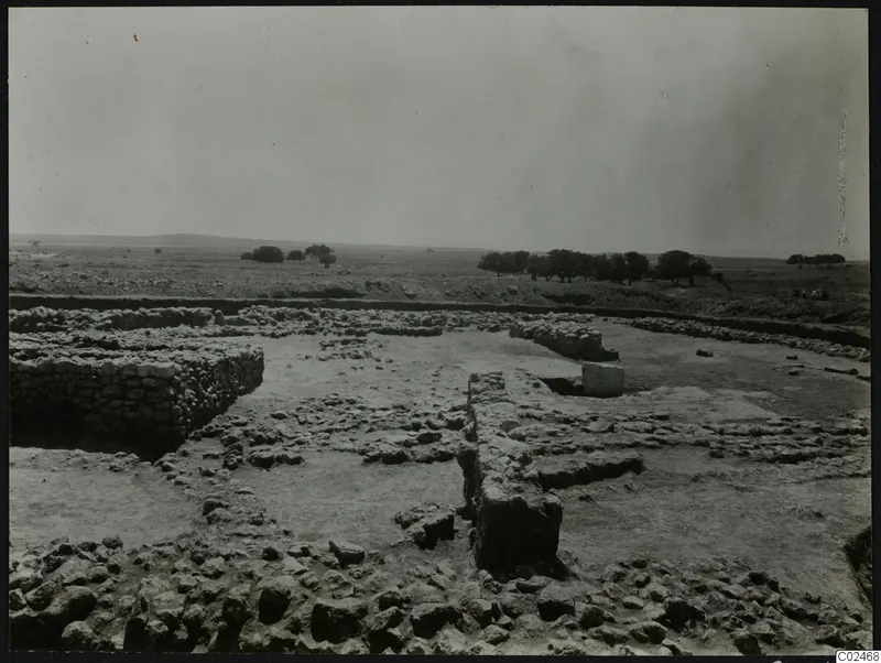Excavated stone walls and foundations of the temenos at Ayia Irini, with a flat open landscape and trees behind