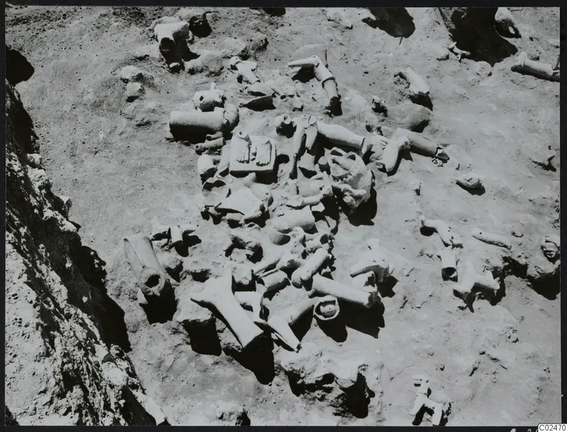 In situ finds at Ayia Irini: many pale fragmentary objects lying among stones and soil in an excavated area