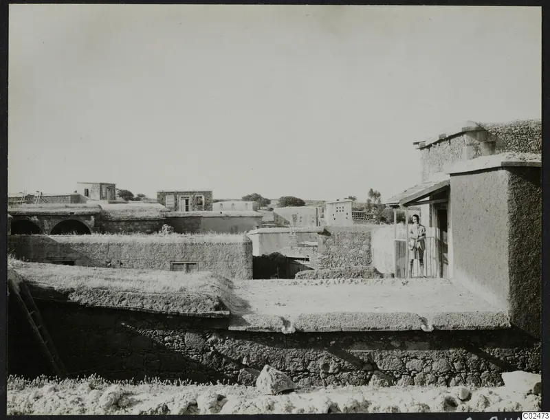 Village view at Ayia Irini with Erik Sjöqvist standing on a balcony among flat-roofed stone houses