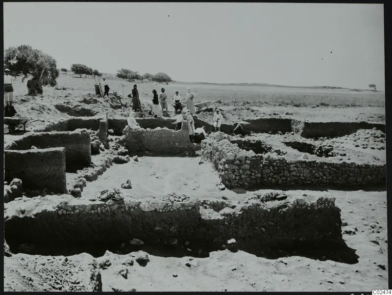 Excavation at Ayia Irini with workers, exposed stone walls and a wheelbarrow in open, dry ground