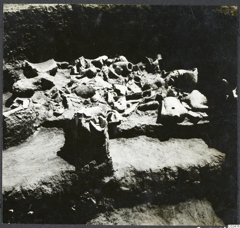 Pottery vessels and sherds lying in situ in an excavation trench at Ayia Irini