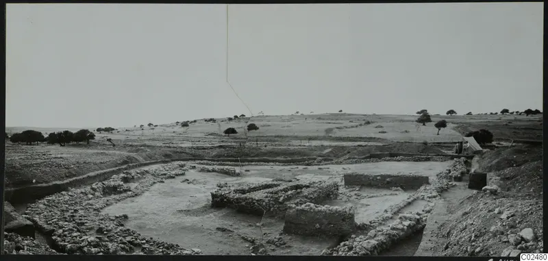 Temenos at Ayia Irini seen from the south-east, with low walls, a tent at right and scattered trees.