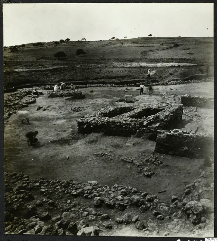 Excavation at Ayia Irini with exposed stone walls, several people working, and trees on the hill behind
