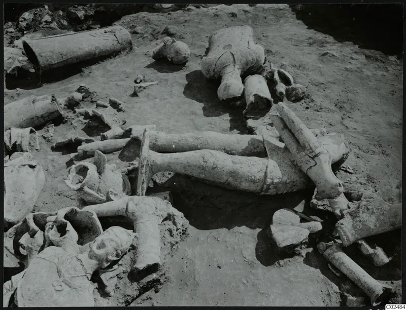 Broken sculpture fragments lying in situ in excavated soil at Ayia Irini
